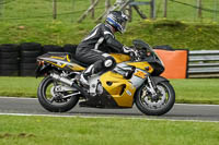 brands-hatch-photographs;brands-no-limits-trackday;cadwell-trackday-photographs;enduro-digital-images;event-digital-images;eventdigitalimages;no-limits-trackdays;peter-wileman-photography;racing-digital-images;trackday-digital-images;trackday-photos